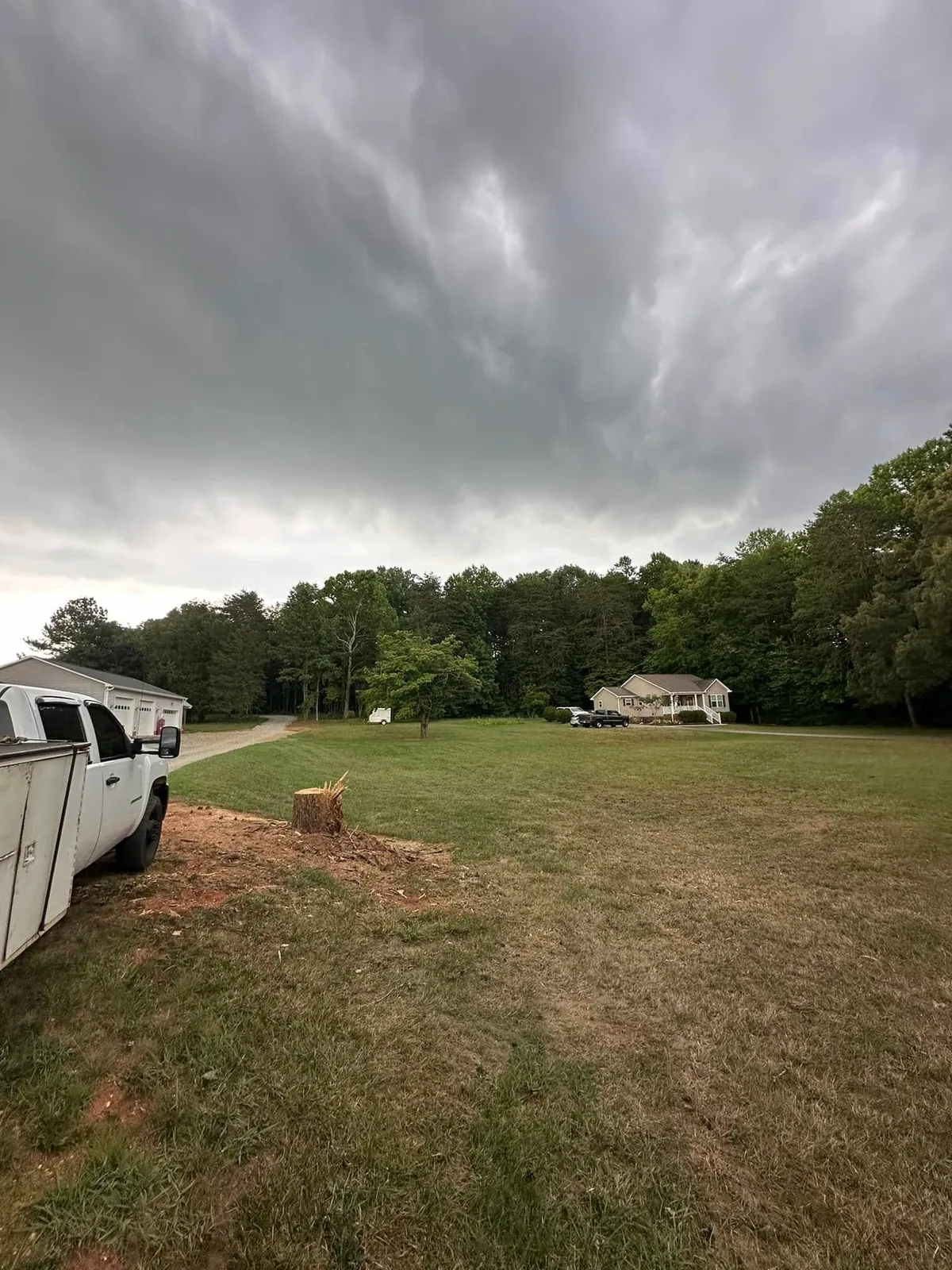 Fresh-cut stump and cleared lawn beside white utility truck after tree removal, storm sky