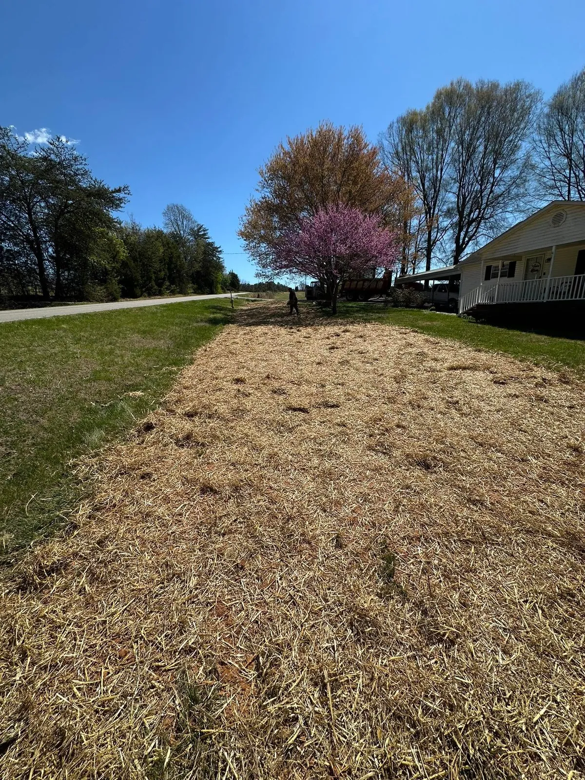 Finished fill area seeded and strawed on roadside lawn beside white house; dump truck in background