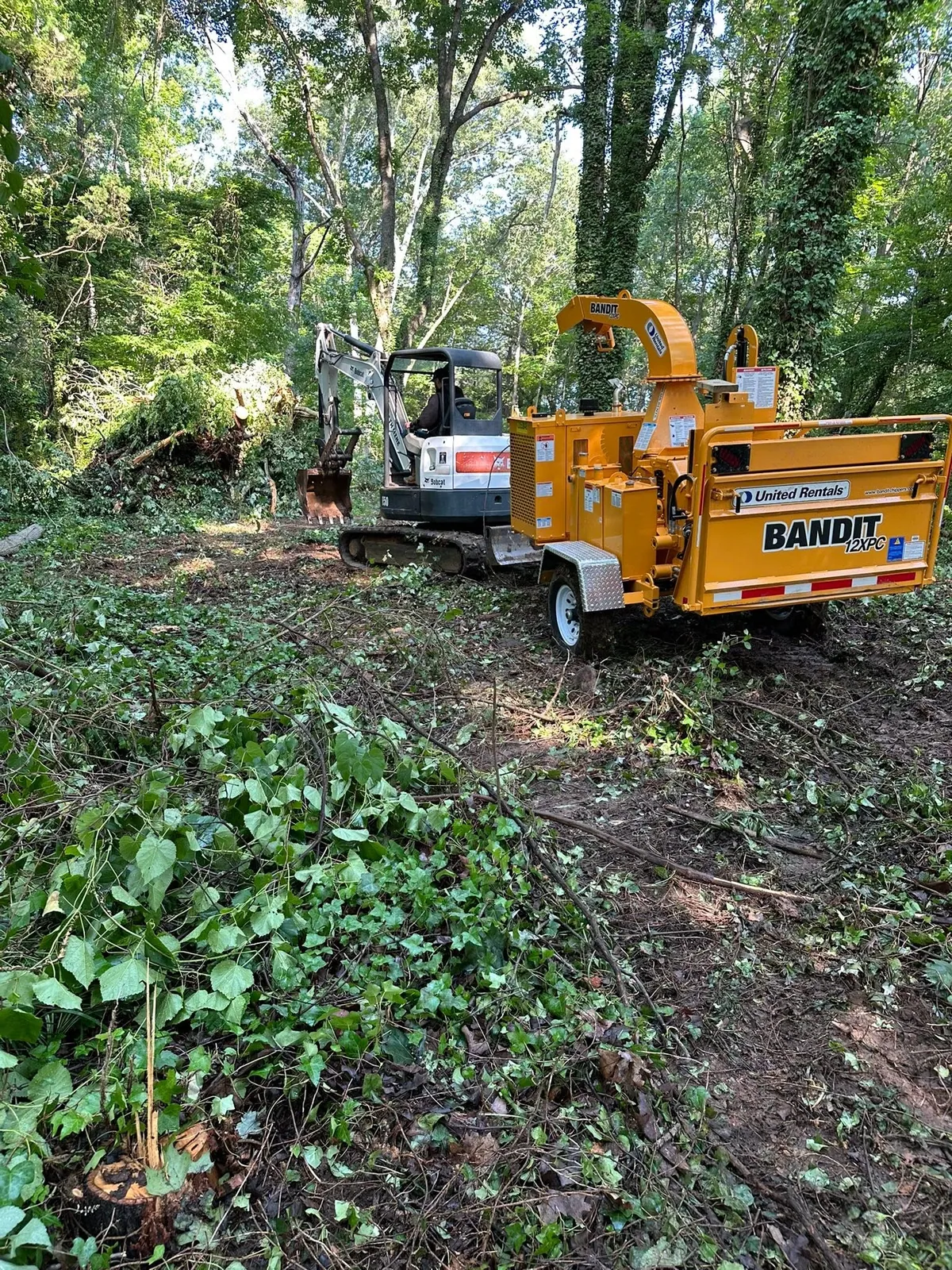 Bobcat E50 mini excavator feeding brush into rented Bandit 12XPC chipper on wooded lot
