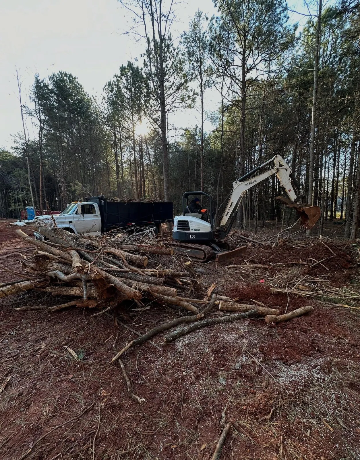 Bobcat E50 mini excavator clearing brush and small pines, log pile and dump truck on wooded lot