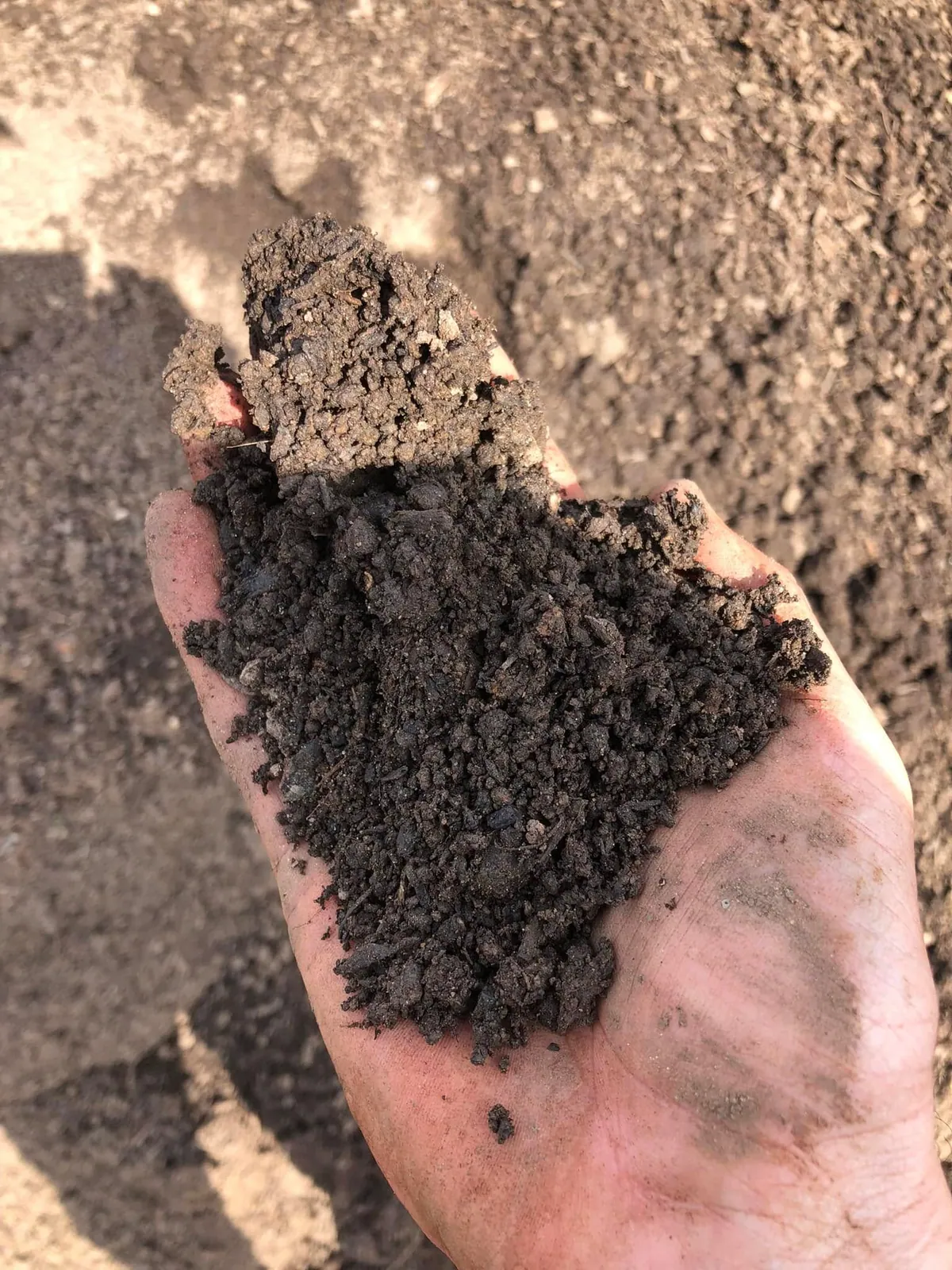Handful of dark screened topsoil held over the pile, showing fine crumbly texture